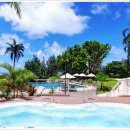 베이브리즈 이미지