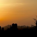 윤구농장 | 2025 AUGUST, #1