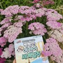 책과 함께 세계수도일주 이미지