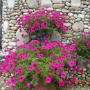 에덴농원 이미지