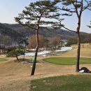 삼성골프 | 삼성 베네스트 계열의 글렌로스cc 골프라운딩 후기 !