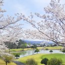 수성컨트리클럽 이미지