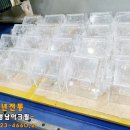 영남덴탈