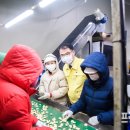 남일농산 - 이천시 | 남일농산