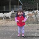 GOAT농장 Daum카페