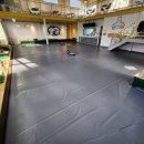 프렌즈 애견 이미지