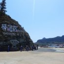관매도곰솔
