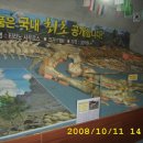 양산동굴공룡박물관 이미지