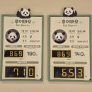 삼성게임월드 | 에버랜드 11월 토요일 방문후기 _ 오후권, 판다월드 꿀팁😆