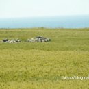 가파민박 이미지