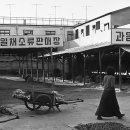 무주읍213 이미지