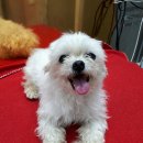 월봉초교 이미지