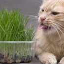 24시 산들산들 동물병원 이미지