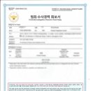 공인분당번역 행정사사무소 이미지