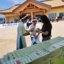 삼육네이처세븐 이미지