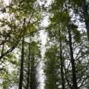 총신대학교 사회복지대학원 이미지