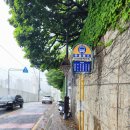 부산중앙어린이집 | [부산] 황령산(427m),사자봉 산행후기---2026년 5월 27일(수)