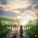 세한장묘 | "김해반려동물장례식장" 추천 이용후기 - 반려동물장례식장 선택시 고려사항