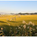 노을들녘 이미지