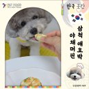 (11/15)노버터 수제머핀 만들기 | 강아지 수제간식 만들기｜삼척 애호박으로 만든 강아지용 야채 머핀