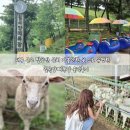 칠곡승마장 | 대구 근교 팔공산 근처 가볼만한 곳 으로 유명한 칠곡양떼목장 솔직후기