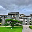 소노펠리체 델피노 이미지