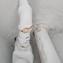 건영 세탁 이미지