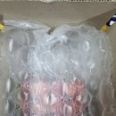 더바이브 | 🍅 고객님께서 보내주신 더바이브 토마토 실사 후기 공유드립니다!