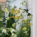 세신샵 봄날 이미지