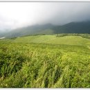 구룡산성九龍山城 이미지