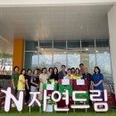 자연 in 이미지