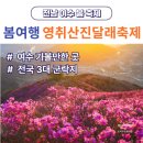 691 | 2026 전남 여수 영취산 진달래축제 기본정보 일정 초대가수 등산코스 봄꽃 여행 추천