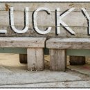 팔달초등 이미지