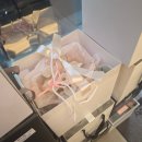 펄헤어 | [지나뜰리에 카라펄부케 수령 후기] 채플홀 부케 추천 (w. 레이스드레스) 아이웨딩 포인트 할인까지