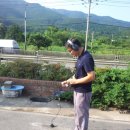 사곡주유소 이미지