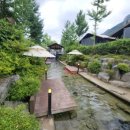 단양추어탕 | 단양 근교 키즈 풀빌라 글램핑 펜션 파크오브드림