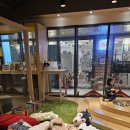 손앤정한의원 이미지