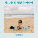 꼼질마켓 | 시드니 여행일정 본다이비치 본다이마켓 브론테비치 (아이스버그 뺨치는 무료 수영장)