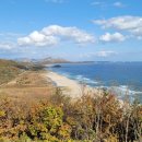 남훈행정사 이미지