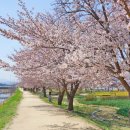 경포호수 4 이미지