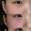 닷츠