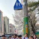 행복 숲 태권도장 이미지