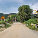 페트라숯불구이 | 고양 스타필드 맛집 후회없는 페트라숯불구이