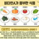 파파야 효능 칼로리 과일 영양 성분 알려 드려요 이미지