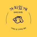 가치있개 반려견 유치원 네이버블로그