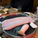 연동바다장어 이미지