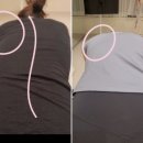 JA바디홀릭