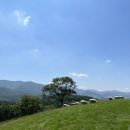 한사랑목장 이미지