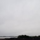 제주8월14일 이미지