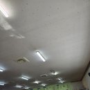 차이림 - 안성시 오촌길 81-14 | 태안 차이림 중국집 후기(생활의 달인 맛집, 태안 중국집, 내돈내산, 태안현지인맛집)
